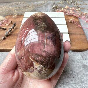 Gorgeous Large Petrified Wood Egg